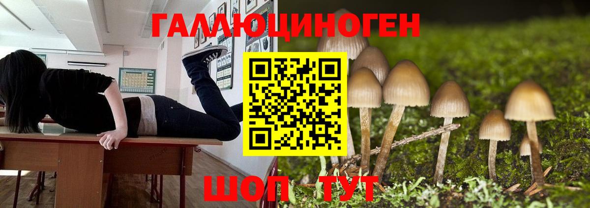 Галлюциногенные грибы мухоморы Тайшет
