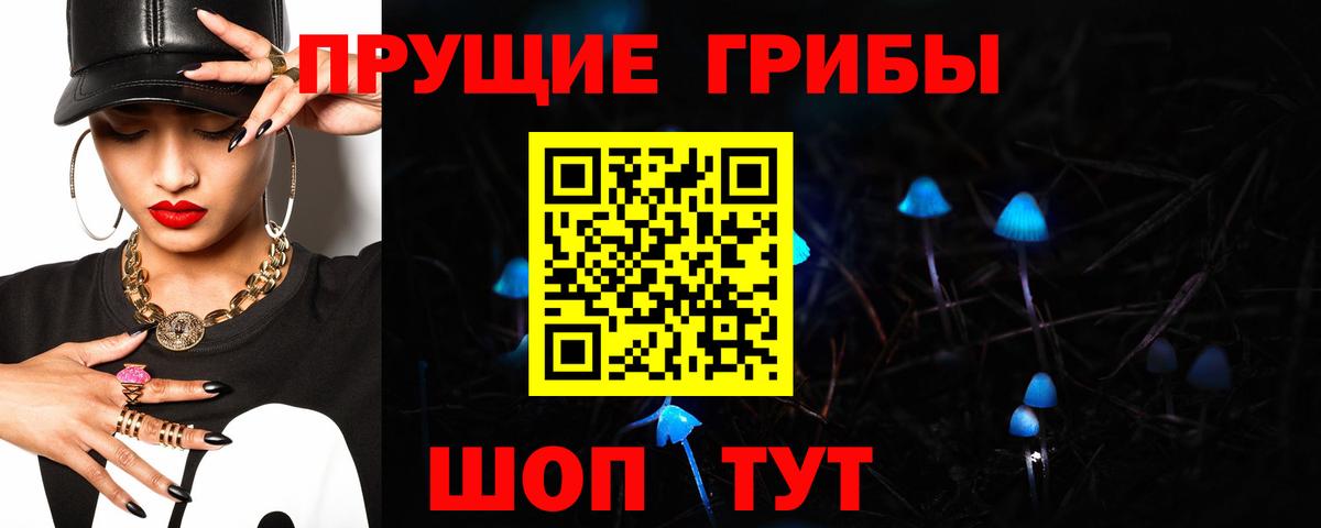 Псилоцибиновые грибы прущие грибы  Вход с VPN  Тайшет 